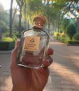 Adityajyani review photo