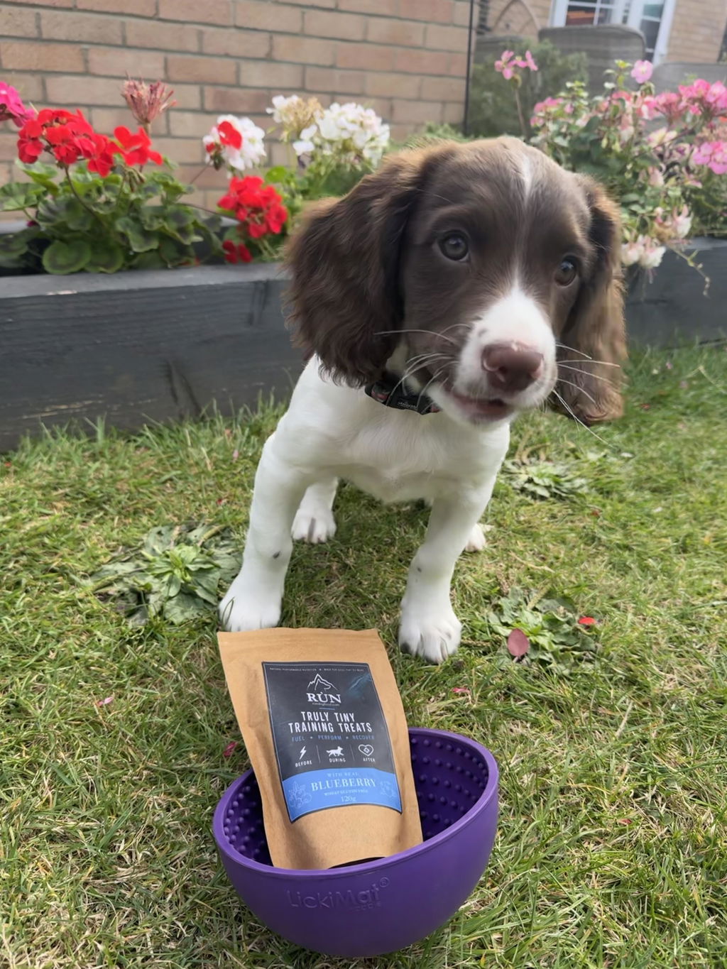 Truly TINY Training Treats