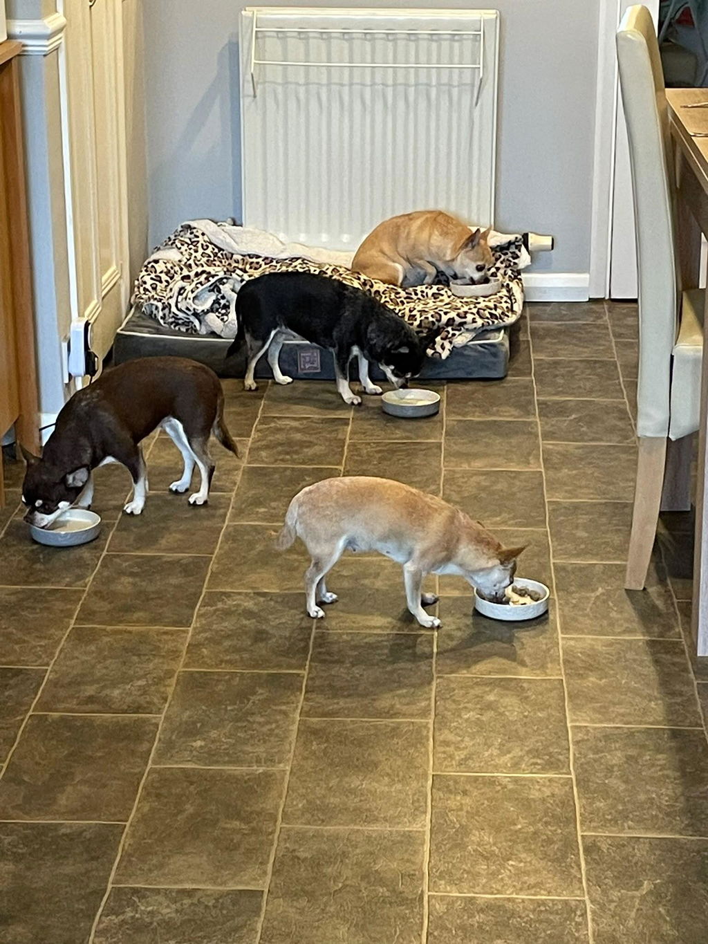 Pâté