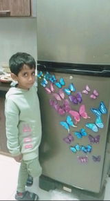 Arman review photo