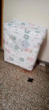Shafaq Naz review photo