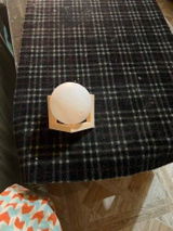 alina review photo