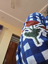 Sanjibani Panigrahi review photo