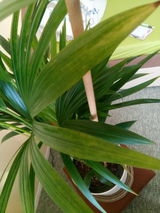 Margrit W. review photo