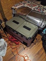 Rodney-Allen review photo