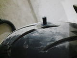 E. Dianna review photo