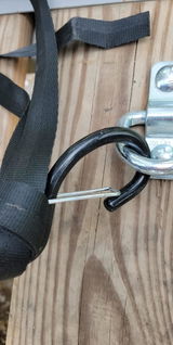 Acorn Fyer review photo