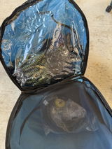 Marc O. review photo
