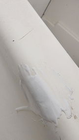 Lucas P. review photo