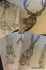 Tommy Cheney review photo