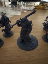 Maximus review photo