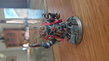 Terrell review photo