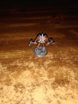 Leonora review photo