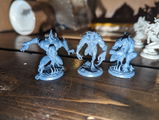 Alexane review photo