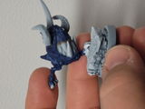 Leonel review photo