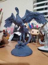 Jace review photo