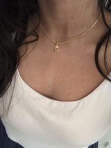 S review photo