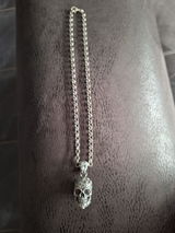 Wim M. review photo