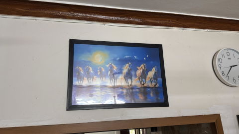 Fluid Strength: The Seven Horses of Water - Vastu Shastra