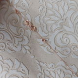 Nisha review photo