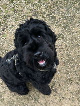Karolina S. review photo
