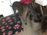 Debra H. review photo
