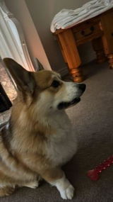 Jake S. review photo