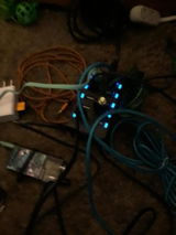 Gust Swaniawski review photo