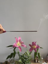 Emilia Balcerzyk review photo