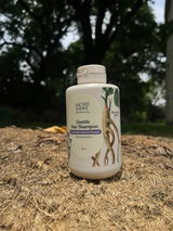 Aanya review photo