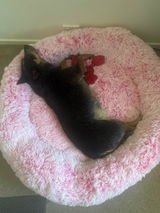 ACD mum review photo