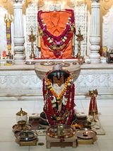 Ashish K. Mehta review photo
