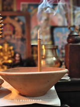 Vinay Nair review photo