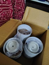 Bhaskar gaur review photo
