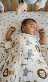 Amit review photo