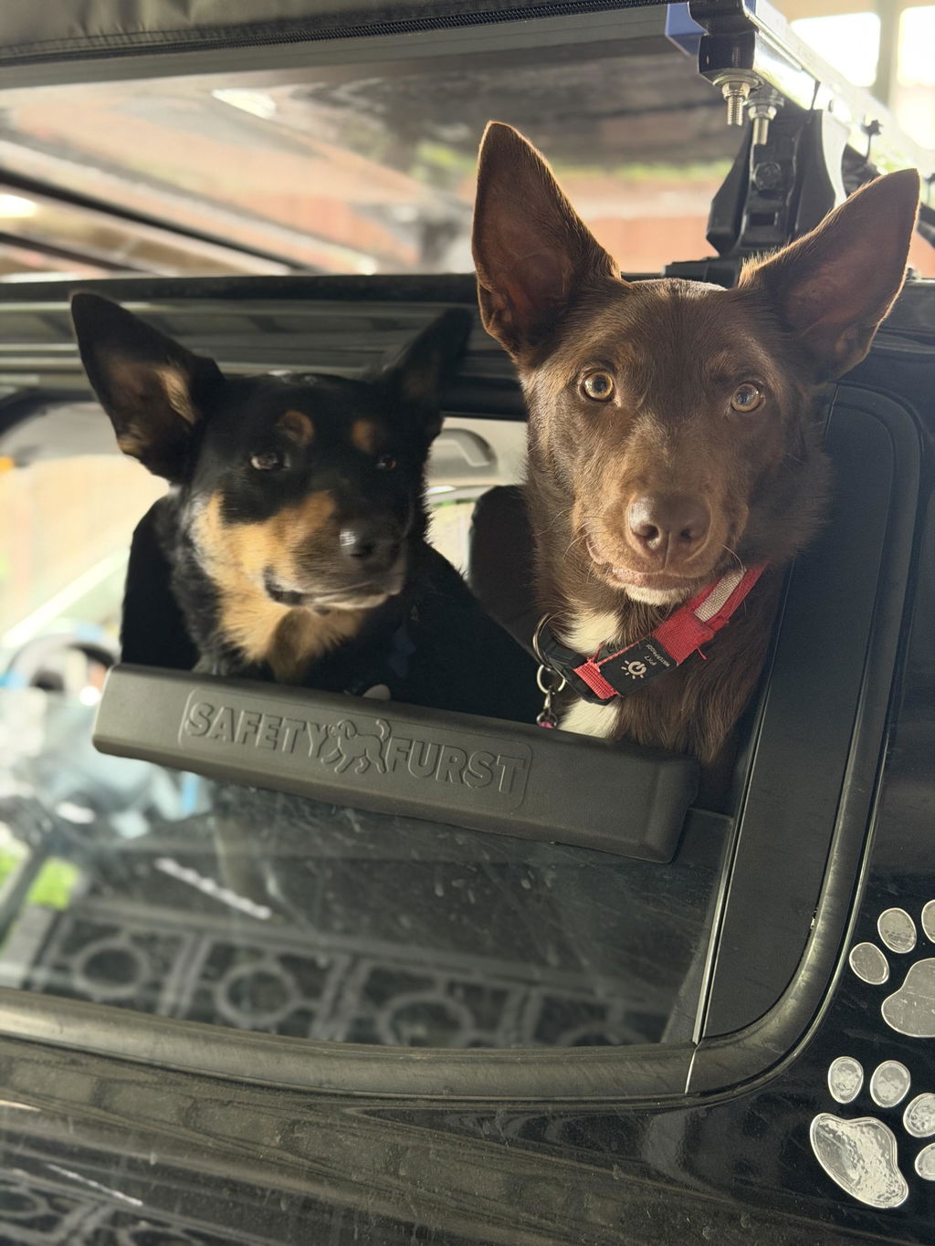 The Whiffie Cushion™ — Patented Car Window Chin Rest For Dogs