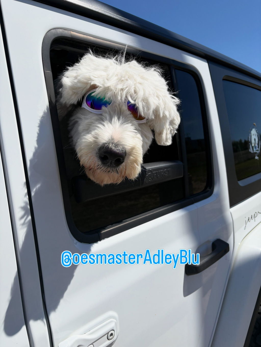 The Whiffie Cushion™ — Patented Car Window Chin Rest For Dogs