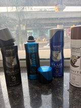 Harsha Gupta review photo