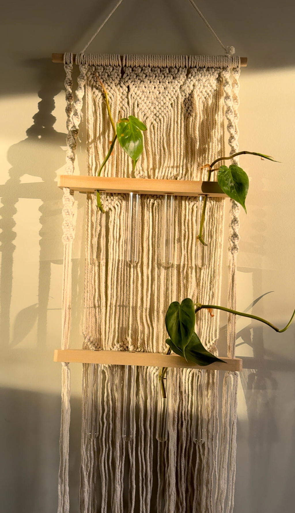 Macrame Hanging Propagation Station