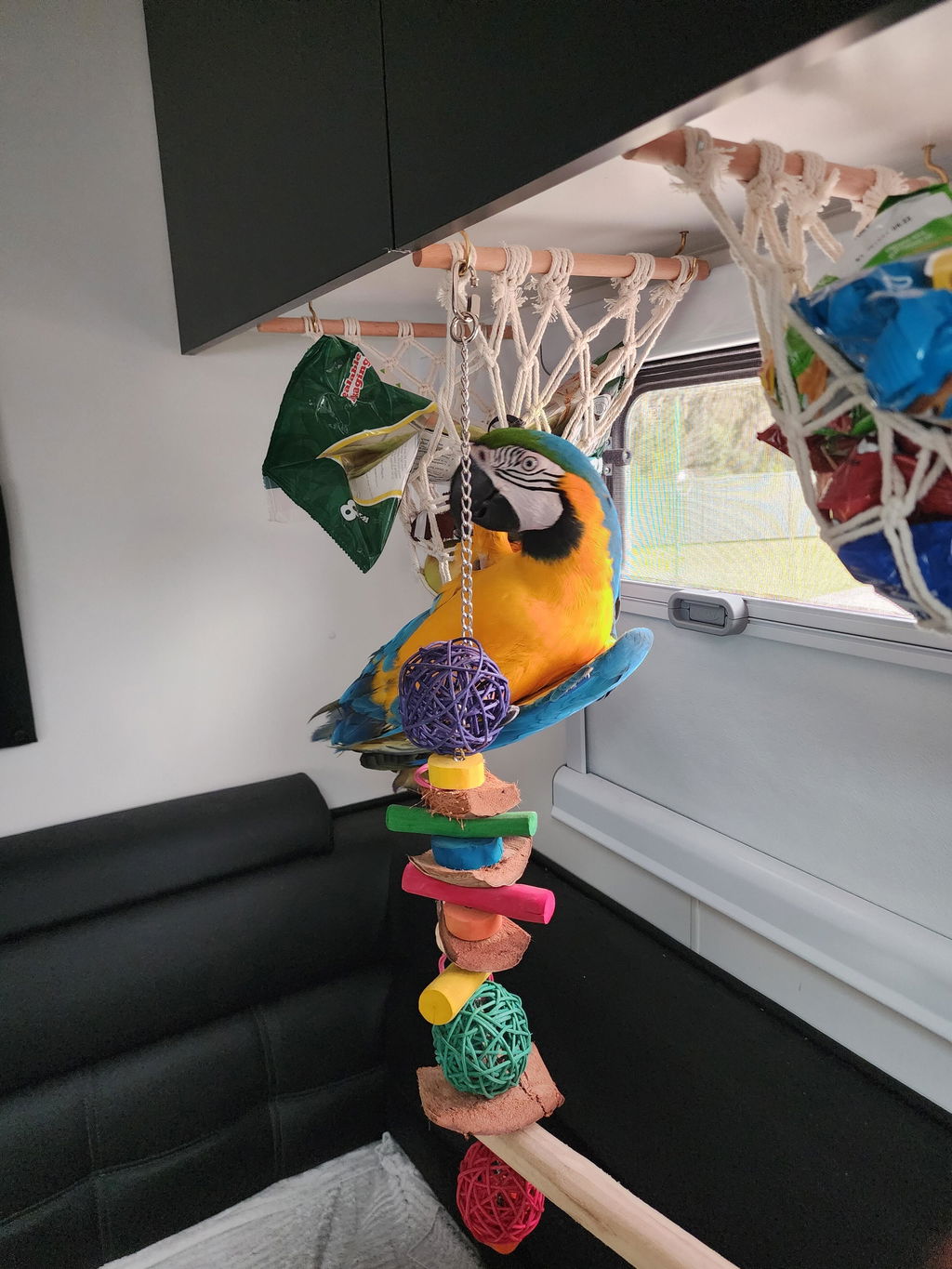Macrame Fruit Hammock