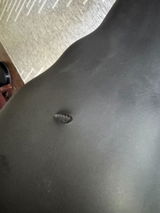 Orin review photo