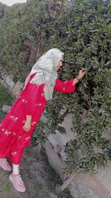 Mohsin Arijo review photo
