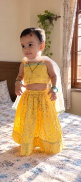 Meera Nair review photo