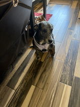 Sheryl V. review photo