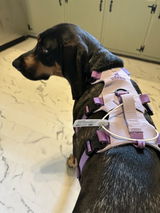 Grace V.D. review photo