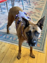 Elissa S. review photo