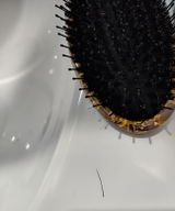 Roc City NY review photo