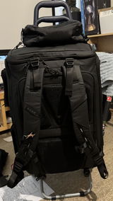 Steve Y. review photo