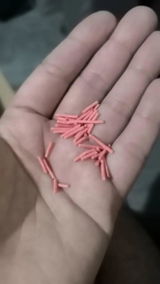 Ana review photo