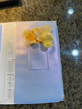 Elizabeth Lychenheim review photo